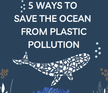 5 Best Ways to Reduce Plastic Pollution in the Ocean