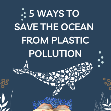 5 Best Ways to Reduce Plastic Pollution in the Ocean